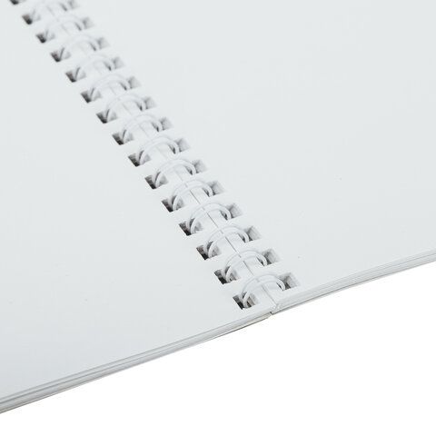 Альбом для рисования А4 24л гребень обложка картон BRAUBERG Питомцы 1/10/40