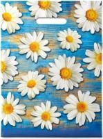 Пакет с вырубной ручкой (30х40)-35 Полли 50/1000