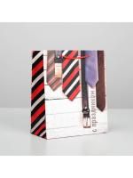 Пакет подарочный бумажный (23х27х8) ламинир С праздником 1/200