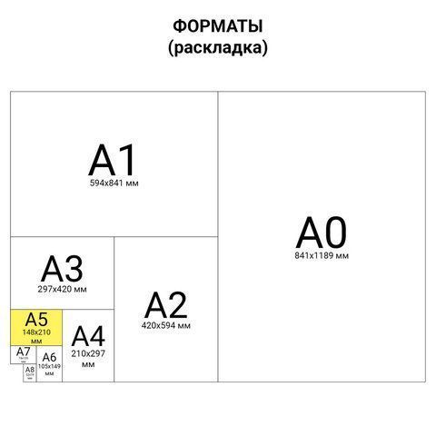 Бланк Накладная А5 (100) 1/20