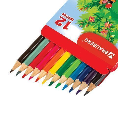 Карандаши цветные 12цв заточен, карт упак BRAUBERG My lovely dogs Забавные щенки 1/12/240