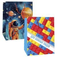 Пакет подарочный бумажный (18х22,3х10) Микс №2 муж 1/360