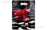 Пакет с вырубной ручкой (31х40)-60 Гармония ламинат Тико 50/500