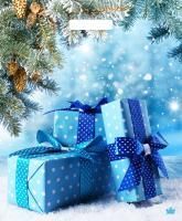 НГ Пакет с вырубной ручкой (38х45)-60 Подарки зимы ТИКО 50/500