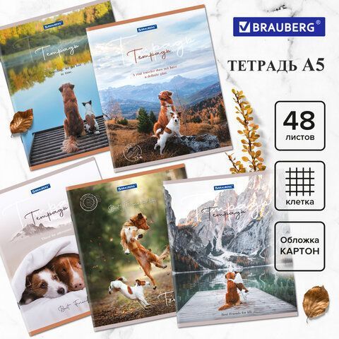 Тетрадь 48л А5 клетка Best Friends BRAUBERG 10/100