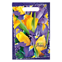 Пакет с вырубной ручкой (20х30)-30 Строгий ирис Нео-Пак 100/3000 