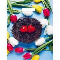 Пакет с вырубной ручкой (31х40)-60 Триумф глянец 50/1000