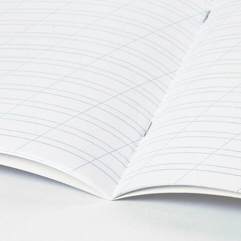 Тетрадь 12л линия косая с полями офсет ЗЕЛЕНАЯ обложка ПЗБМ 1/300