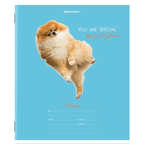 Тетрадь 18л линия обложка картон СОБАЧКИ BRAUBERG 1/20/200