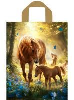 Пакет с петлевой ручкой (28х35)-55 Утро Тико 50/700